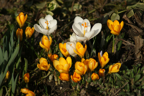 DSC05795.JPG