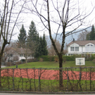 IMG_0324_JPG-1269472998