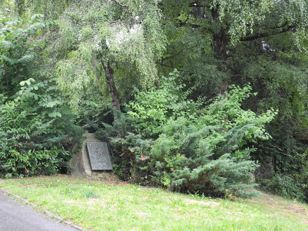 DSCN1083.JPG