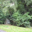 DSCN1083.JPG