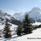 Grundst__ck Oberlech.jpg
