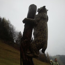 2013-11-09 11_20_24.jpg