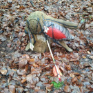 2013-11-09 13_39_38.jpg