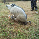 2013-11-09 13_05_16.jpg