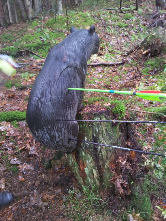 20131109_122631.jpg
