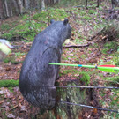 20131109_122631.jpg