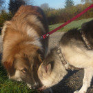 Penny und Nada 001.JPG