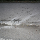 Bilder des Lkws