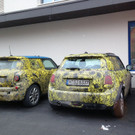 erlkoenig4.jpg