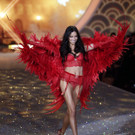 IBD0081-20131114.jpg