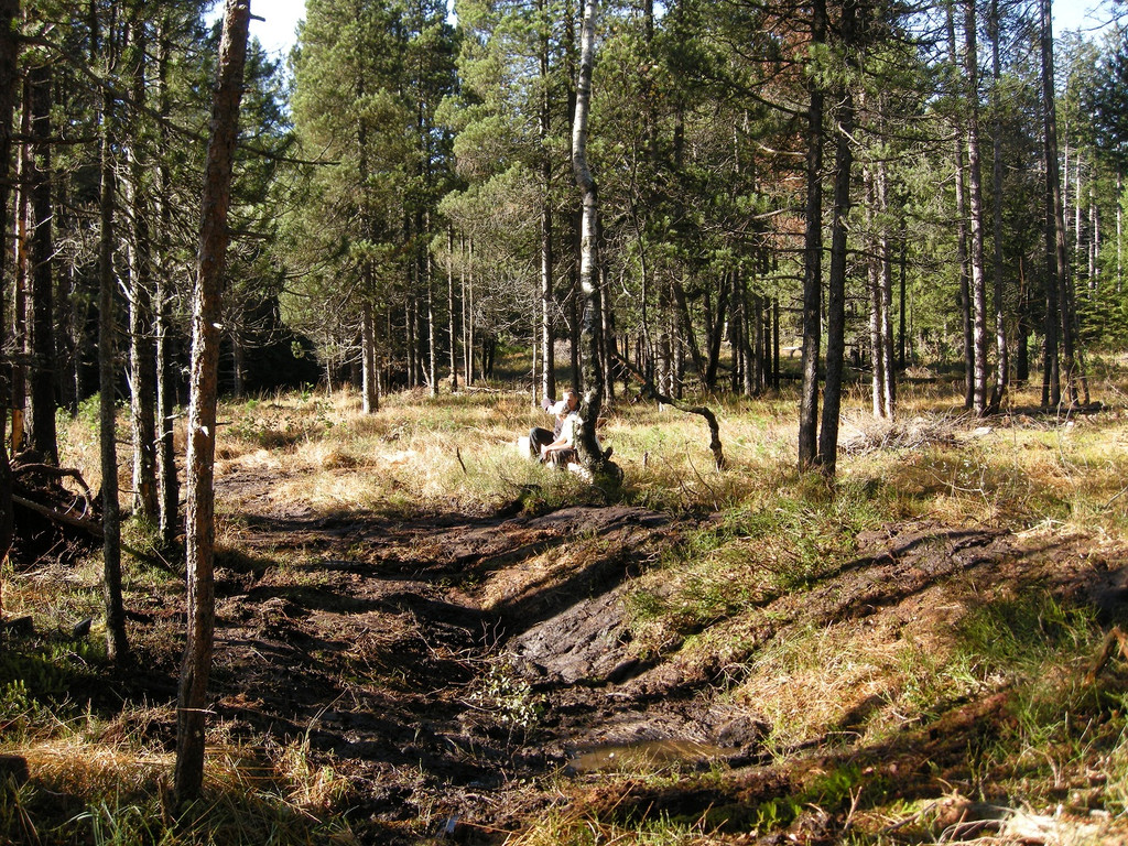 fertiger Grabenstau Moor 7_Georg Amann.jpg