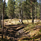 fertiger Grabenstau Moor 7_Georg Amann.jpg