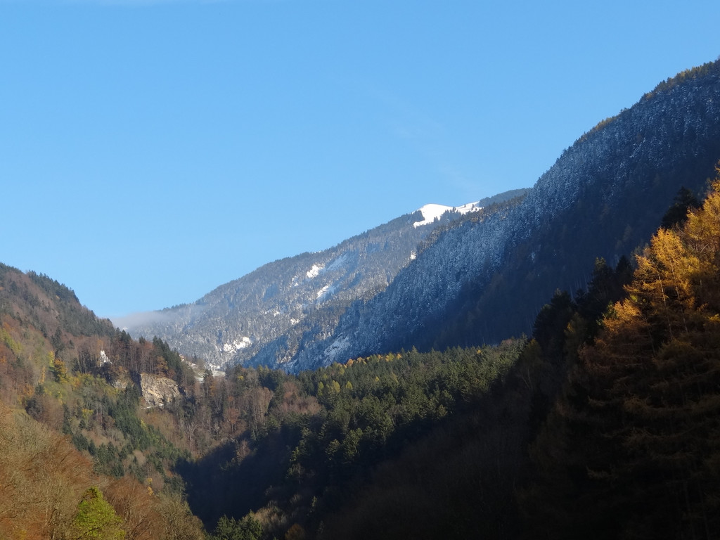 DSC04265.JPG