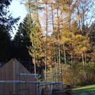 DSC04272.JPG