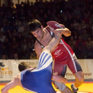 file6cjk5puaqg814w3v13cb.jpg