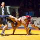 file6cjk59wluwyah0vl3cb.jpg