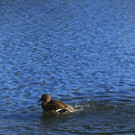 12112013hinterseede01001aktivnews_031.JPG