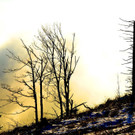 12112013gaisbergfat005_009aktivnews00524.jpg