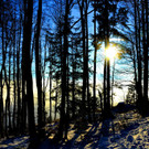 12112013gaisbergfat005_009aktivnews00529.jpg