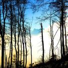 12112013gaisbergfat005_009aktivnews00532.jpg