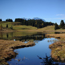20131107_PD11324.jpg