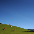 20131107_PD11327.jpg