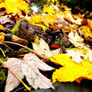 20131113_PD6866.jpg