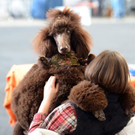20131109_PD1776.jpg