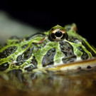 20131113_PD0748.jpg