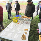 DSCN0521.JPG