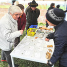 DSCN0522.JPG