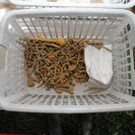 DSCN0524.JPG