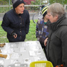 DSCN0546.JPG