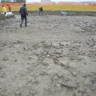 DSCN0547.JPG