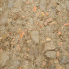DSCN0554.JPG
