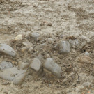 DSCN0556.JPG