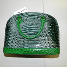 20131114 PI Laxenburg_ Handtasche.jpg
