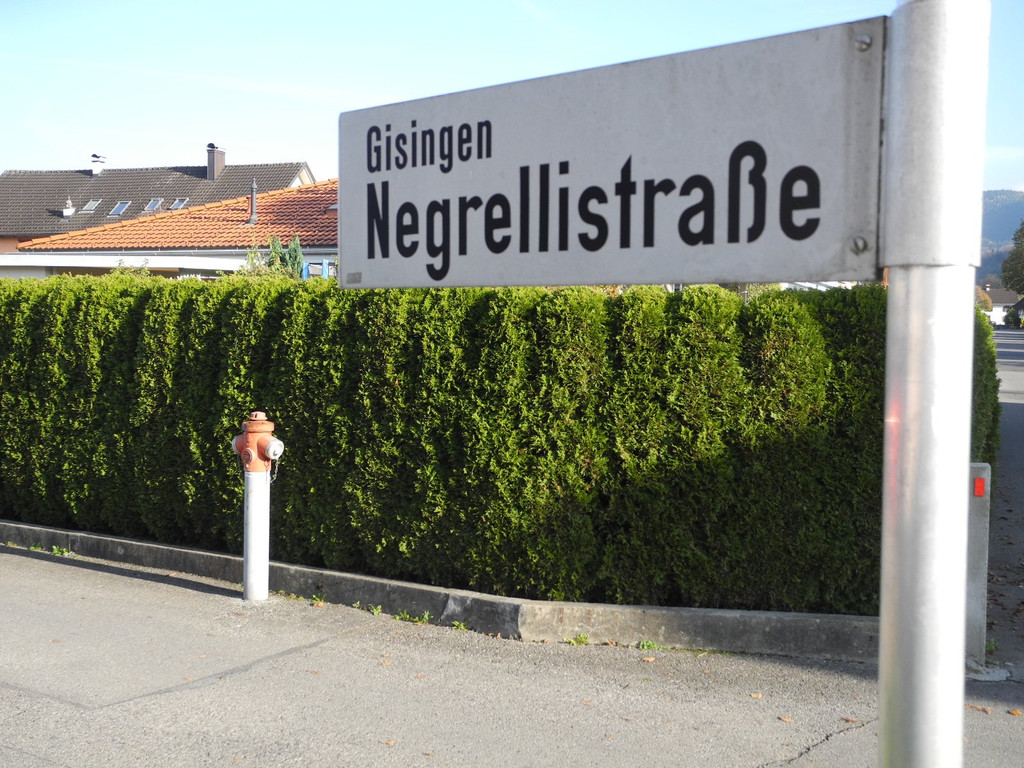 DSCN0459.JPG