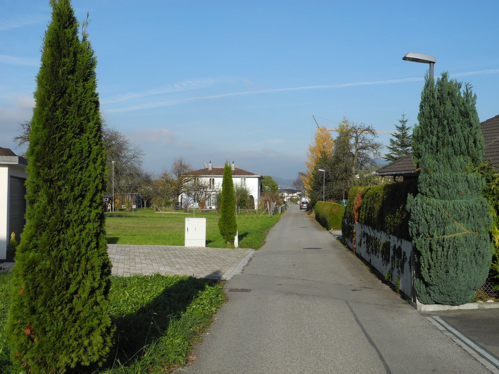 DSCN0460.JPG