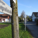 DSCN0462.JPG