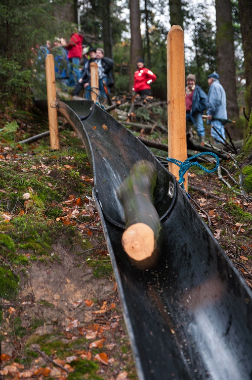 DSC_3580_ 1 copyright Mario Nussbaumer.jpg