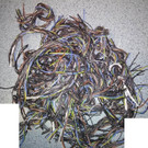 p51611-Foto3.jpg