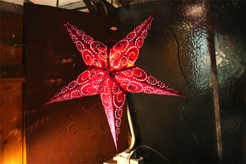 BK_Ausstellung_Bluetenzauber2013 8.JPG
