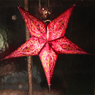 BK_Ausstellung_Bluetenzauber2013 9.JPG