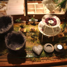 BK_Ausstellung_Bluetenzauber2013 12.JPG