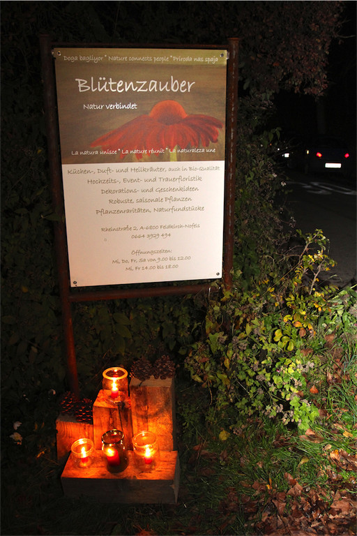 BK_Ausstellung_Bluetenzauber2013 30.jpg