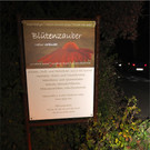 BK_Ausstellung_Bluetenzauber2013 30.jpg