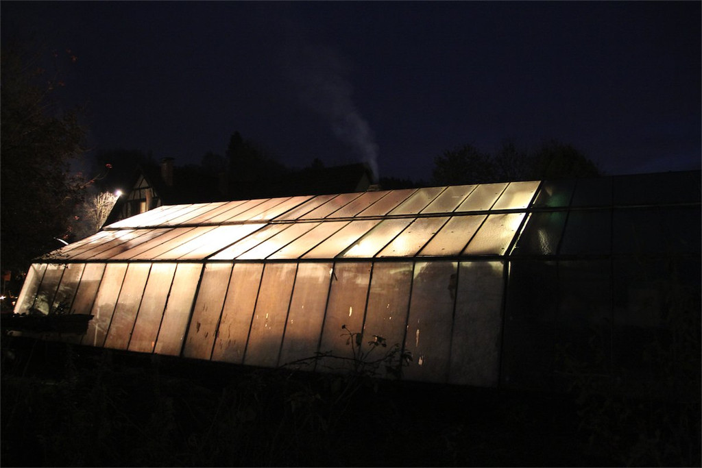 BK_Ausstellung_Bluetenzauber2013.JPG