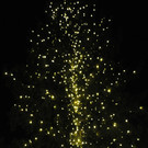 ABD0077-20131116.jpg