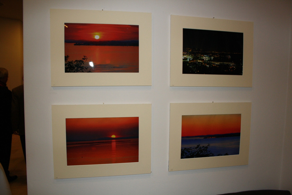 Narzt VERNISSAGE Seehotel 15-11-2013 _17_.jpg